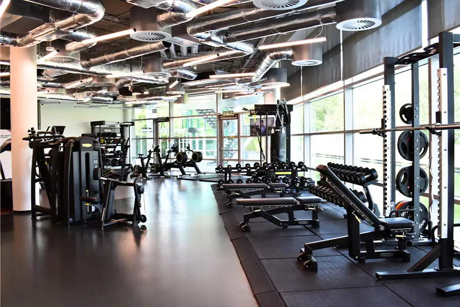 Gymnasium